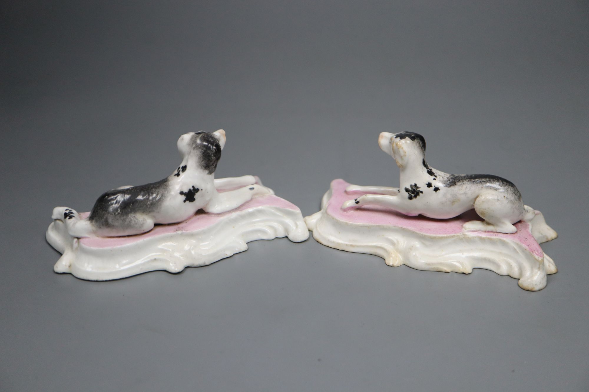 A pair of Staffordshire porcelain figures of recumbent pointers or setters, c.1835-50, 12cm long